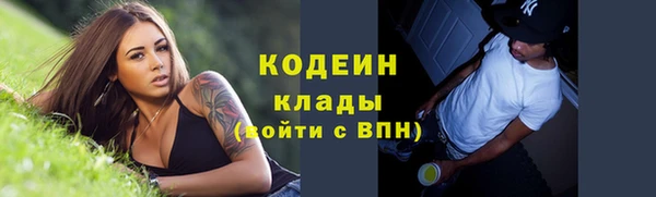 ГАЛЛЮЦИНОГЕННЫЕ ГРИБЫ Алексин