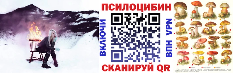 Псилоцибиновые грибы Cubensis  Грайворон 